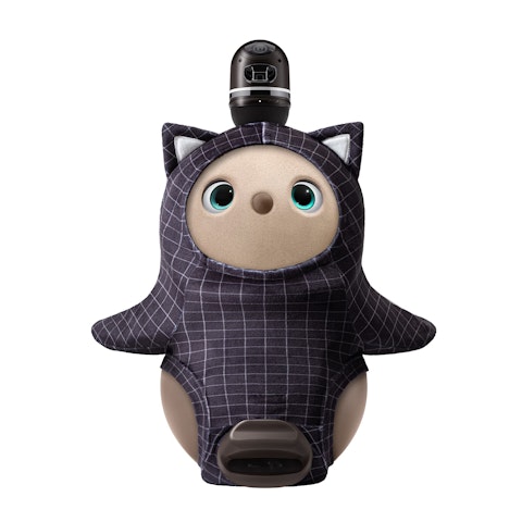 GRAPH CHECK_front_usu.jpeg?w=